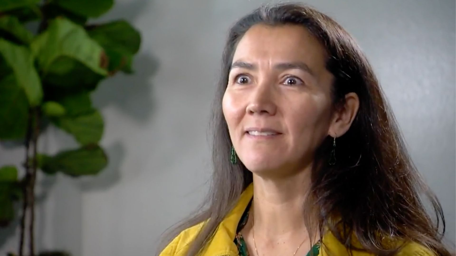 Mary Peltola the keynote speaker as Alaska Democrat Party declares war on oil